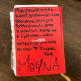 ...ma che nel corso dell�anno si trasformavano in album dove racchiudere pensieri e parole